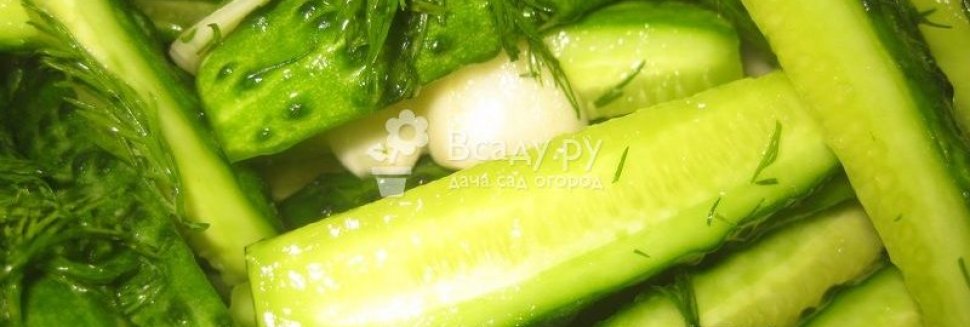 Маринованные Огурцы Рецепты На Зиму