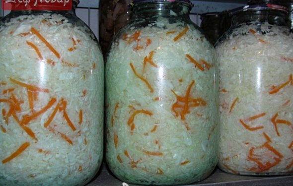 Квашеная капуста в баллоне