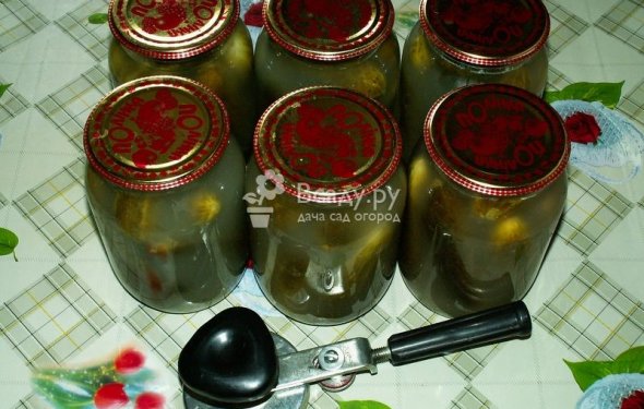 Приготовление маринованных