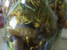 Фото приготовления рецепта: Хрустящие малосольные огурцы на зиму - шаг №4