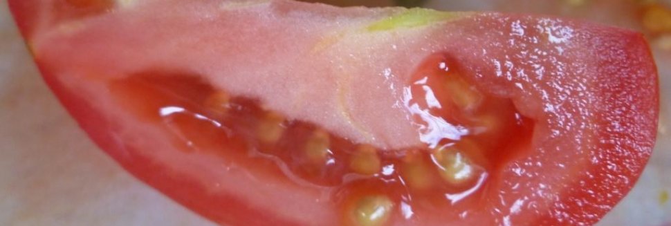 Como Fazer Tomates No Inverno