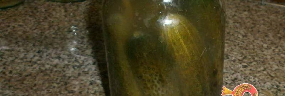 Zimo Pepino Sol