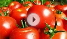 Консервирование помидоров томатов без уксуса